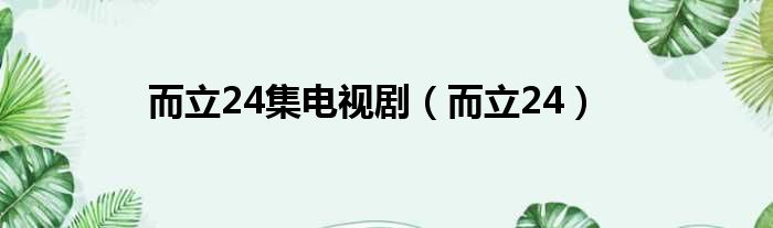 而立24集电视剧 而立24