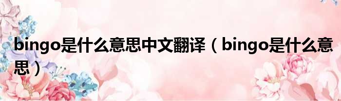 bingo是什么意思中文翻译 bingo是什么意思