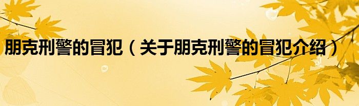 朋克刑警的冒犯 关于朋克刑警的冒犯介绍
