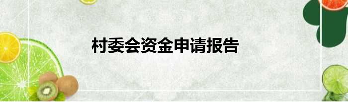 村委会资金申请报告