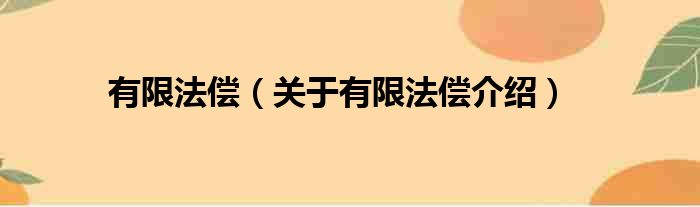 有限法偿 关于有限法偿介绍