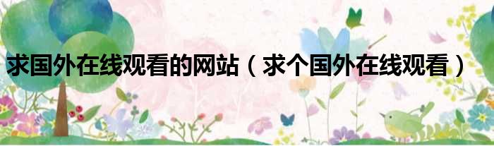 求国外在线观看的网站 求个国外在线观看