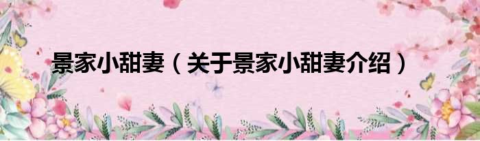 景家小甜妻 关于景家小甜妻介绍