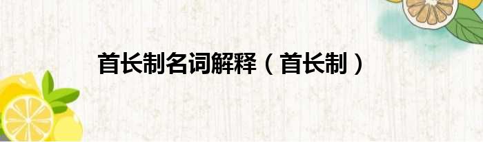 首长制名词解释 首长制