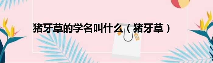 猪牙草的学名叫什么 猪牙草