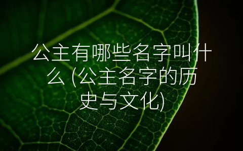 公主有哪些名字叫什么 (公主名字的历史与文化)