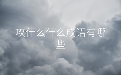 攻什么什么成语有哪些