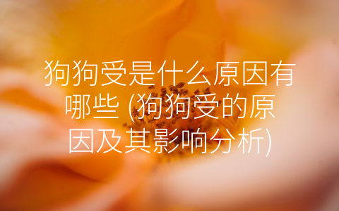 狗狗受是什么原因有哪些 (狗狗受的原因及其影响分析)