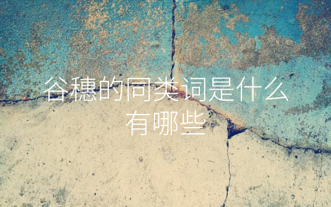 谷穗的同类词是什么有哪些