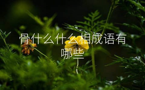 骨什么什么相成语有哪些
