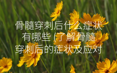 骨髓穿刺后什么症状有哪些 (了解骨髓穿刺后的症状及应对措施)