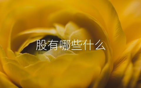 股有哪些什么