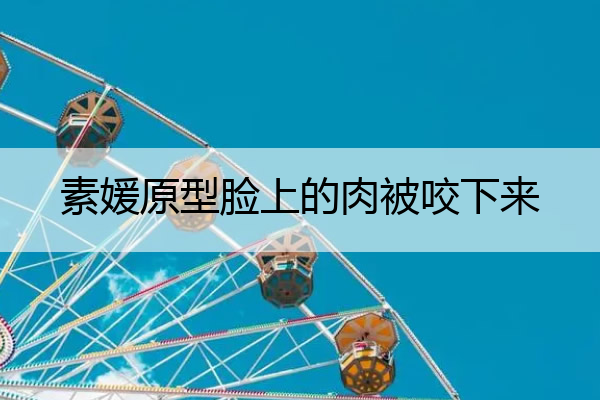 素媛原型脸上的肉被咬下来 素媛原型有多惨