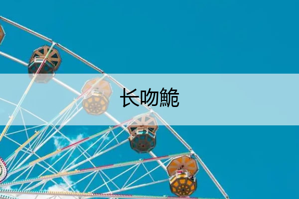长吻鮠 长吻鮠的读音