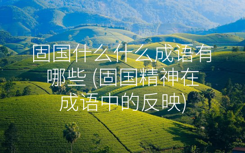 固国什么什么成语有哪些 (固国精神在成语中的反映)