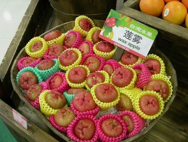 远渡而来的洋蒲桃化身诗意的莲雾图3