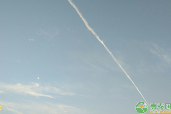 飞机飞过天空有时会留下一道白烟 这其实是云还是烟雾