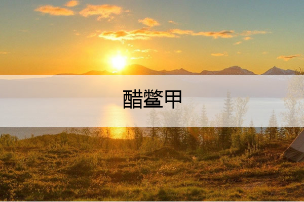 醋鳖甲 醋鳖甲和鳖甲的区别