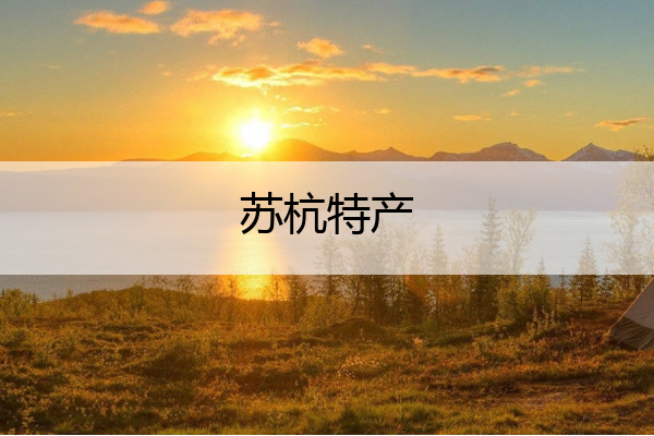 苏杭特产 苏杭特产送男领导