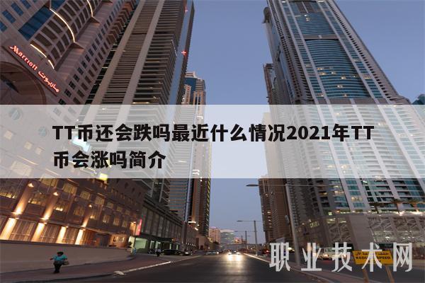 TT币还会跌吗最近什么情况2021年TT币会涨吗简介