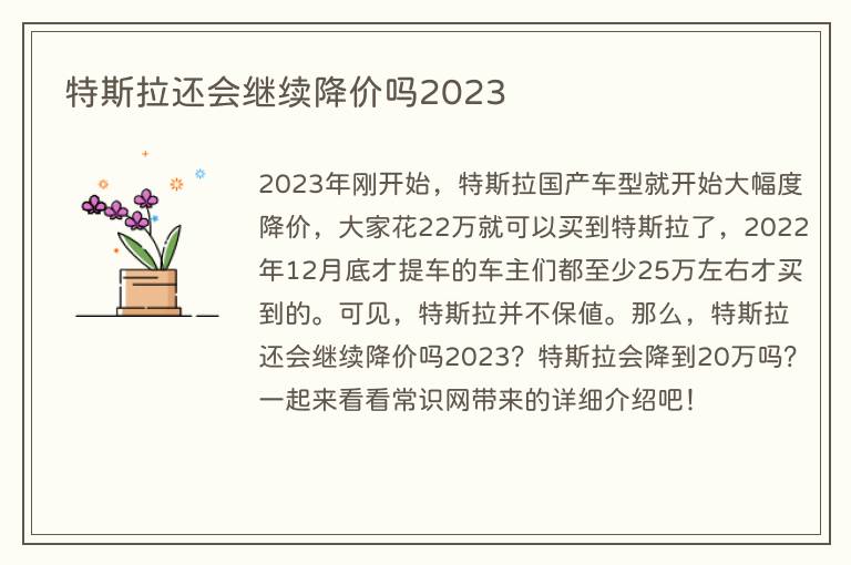 特斯拉还会继续降价吗2023