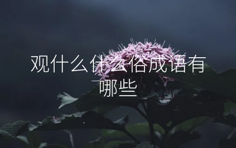观什么什么俗成语有哪些