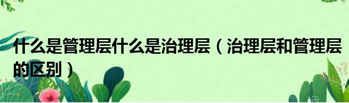 什么是管理层什么是治理层 治理层和管理层的区别