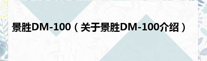 景胜DM 100 关于景胜DM 100介绍