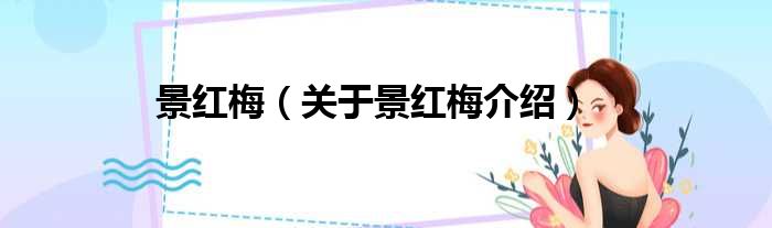 景红梅 关于景红梅介绍