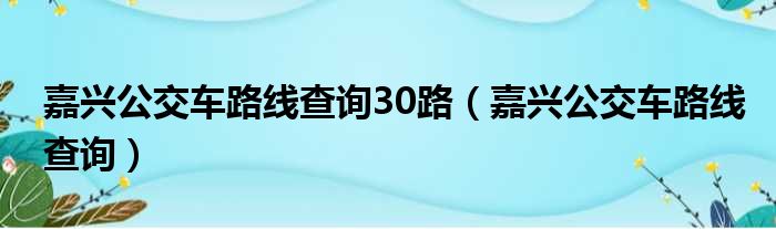嘉兴公交车路线查询30路 嘉兴公交车路线查询
