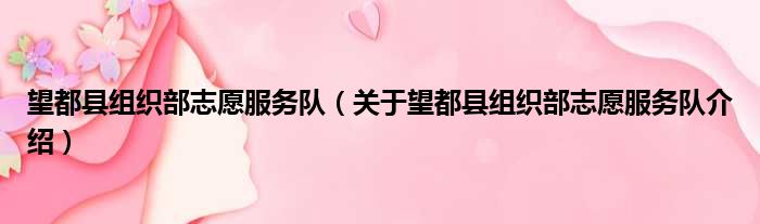 望都县组织部志愿服务队 关于望都县组织部志愿服务队介绍