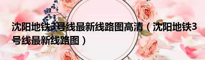 沈阳地铁3号线最新线路图高清 沈阳地铁3号线最新线路图