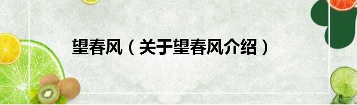 望春风 关于望春风介绍