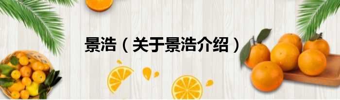 景浩 关于景浩介绍