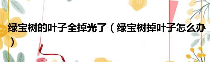 绿宝树的叶子全掉光了 绿宝树掉叶子怎么办