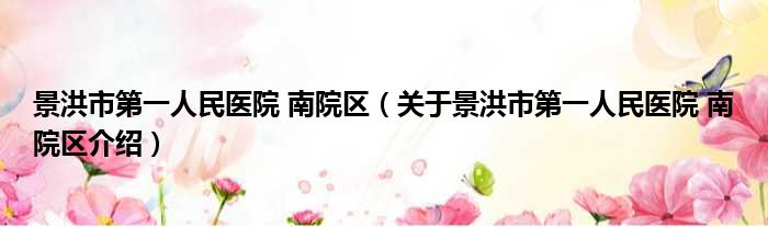 景洪市第一人民医院 南院区 关于景洪市第一人民医院 南院区介绍