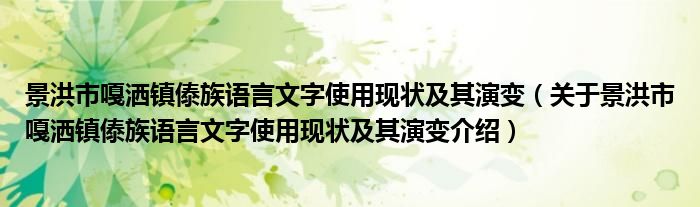 景洪市嘎洒镇傣族语言文字使用现状及其演变 关于景洪市嘎洒镇傣族语言文字使用现状及其演变介绍