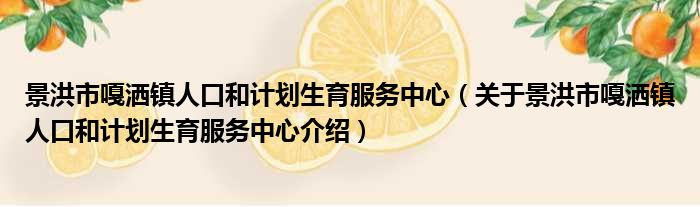 景洪市嘎洒镇人口和计划生育服务中心 关于景洪市嘎洒镇人口和计划生育服务中心介绍