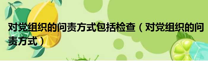对党组织的问责方式包括检查 对党组织的问责方式