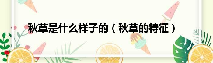 秋草是什么样子的 秋草的特征