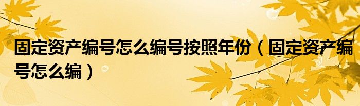 固定资产编号怎么编号按照年份 固定资产编号怎么编