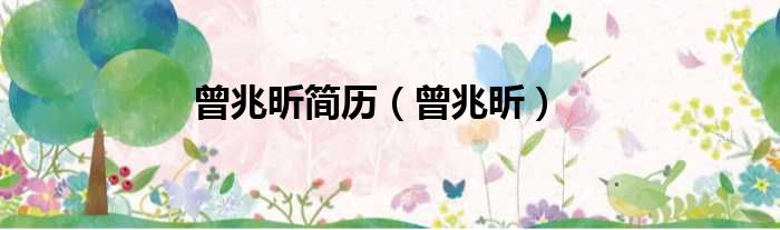 曾兆昕简历 曾兆昕