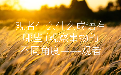 观者什么什么成语有哪些 (观察事物的不同角度——-观者”成语介绍)