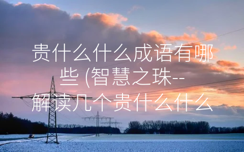 贵什么什么成语有哪些 (智慧之珠--解读几个贵什么什么成语)