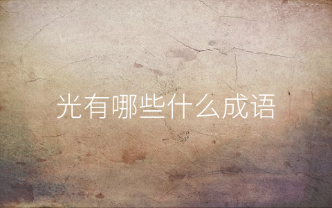 光有哪些什么成语