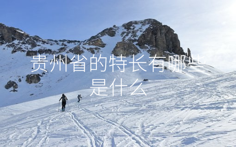 贵州省的特长有哪些是什么