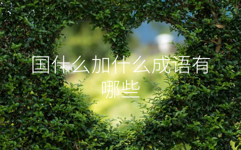国什么加什么成语有哪些