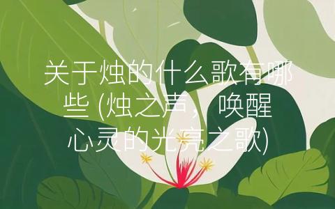 关于烛的什么歌有哪些 (烛之声，唤醒心灵的光亮之歌)