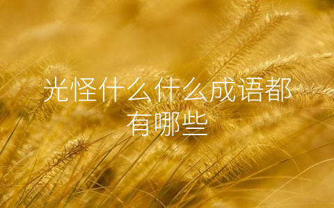 光怪什么什么成语都有哪些