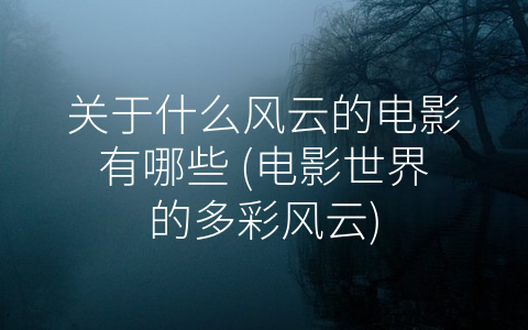 关于什么风云的电影有哪些 (电影世界的多彩风云)